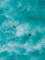 two people surfing on water wallpaper