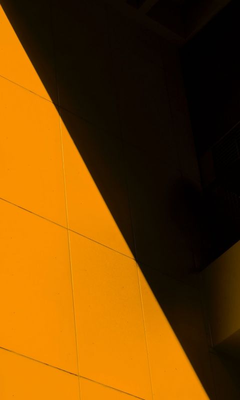 The Backslash wallpaper