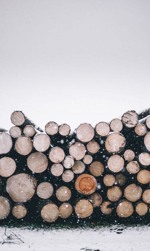 pile of wood logs wallpaper