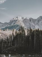 lake in forest wallpaper