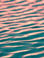close up photo of calm body of w wallpaper