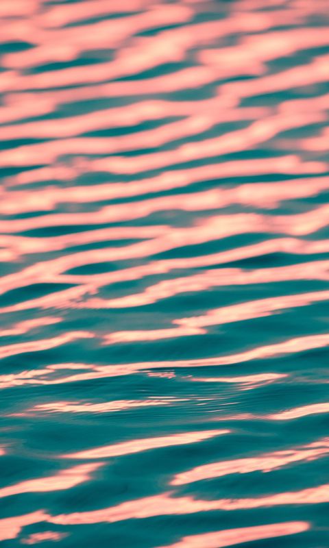close up photo of calm body of w wallpaper