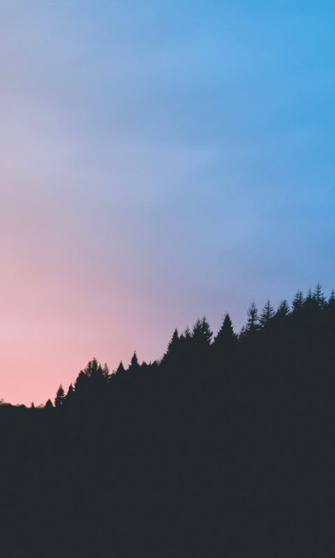 Sunset Silhouette wallpaper