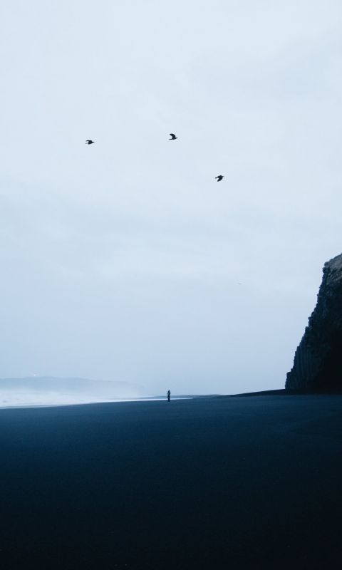 Reynisfjara Black Sand Beach wallpaper