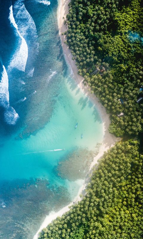 body of water near trees at daytime wallpaper
