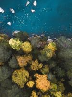 aerial photography of body of water near trees wallpaper