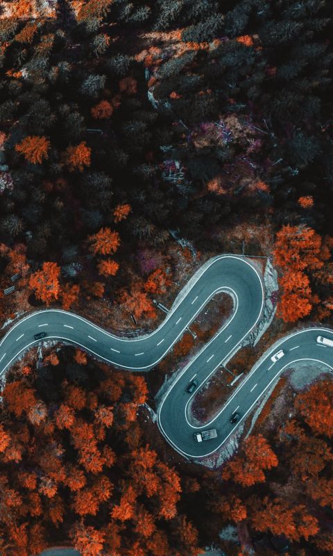 aerial photography of asphalt road surrounded with... wallpaper