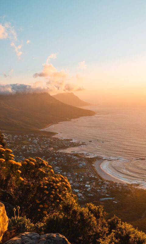 green trees on mountain near sea during daytime wallpaper