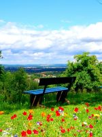 Clouds and Spring Flowers Best HD For Android Devi... wallpaper