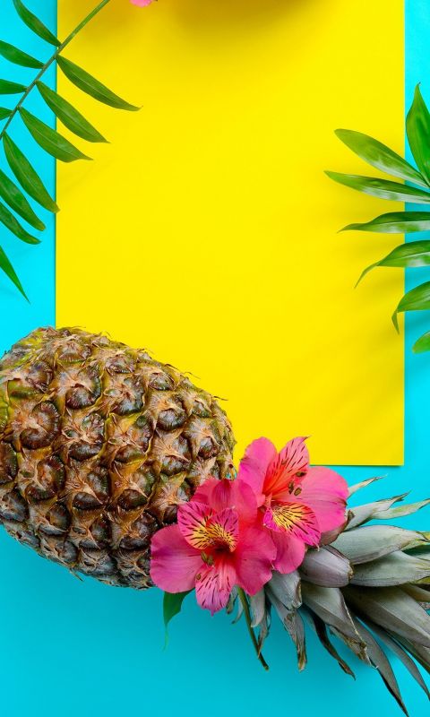 1500x2592 Summer Wallpaper Tropical Fruit Wallpape... wallpaper