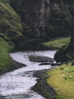 photo of stream wallpaper