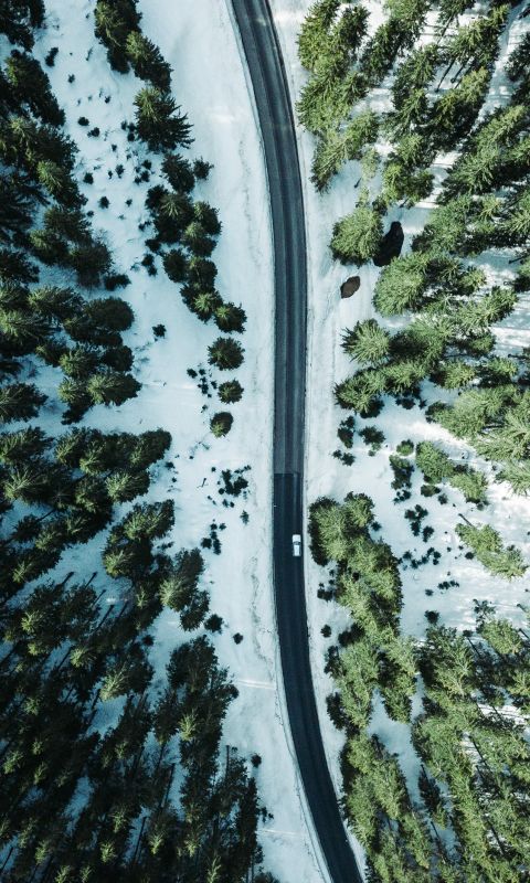 aerial photography vehicle on road surrounded by t... wallpaper