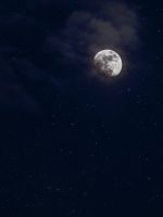 low angle photography of moon wallpaper