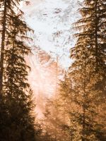 snow covered mountain near trees wallpaper