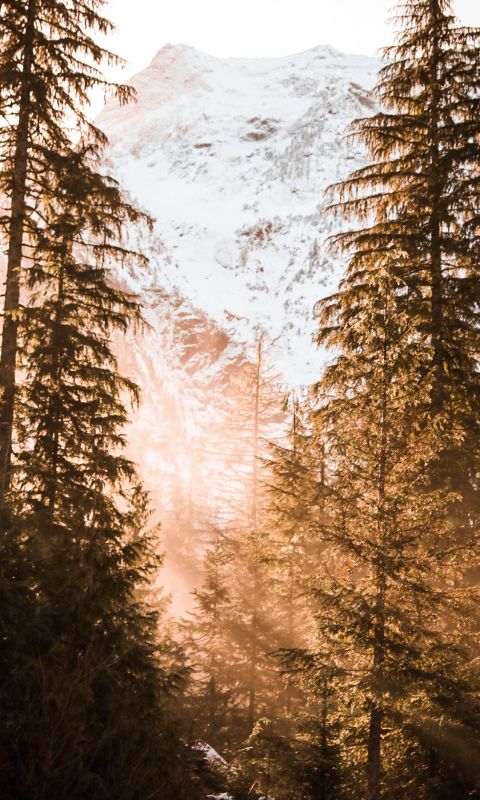 snow covered mountain near trees wallpaper