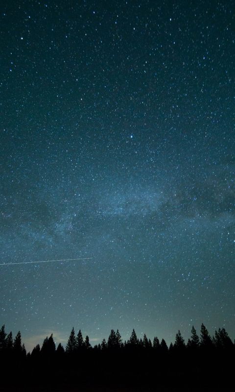 trees under blue sky and stars during nighttime ph... wallpaper