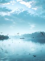birds flying near body of water under cloudy sky d... wallpaper