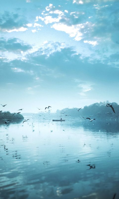 birds flying near body of water under cloudy sky d... wallpaper