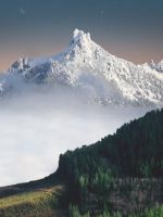 aerial photography of trees distance with white mo... wallpaper