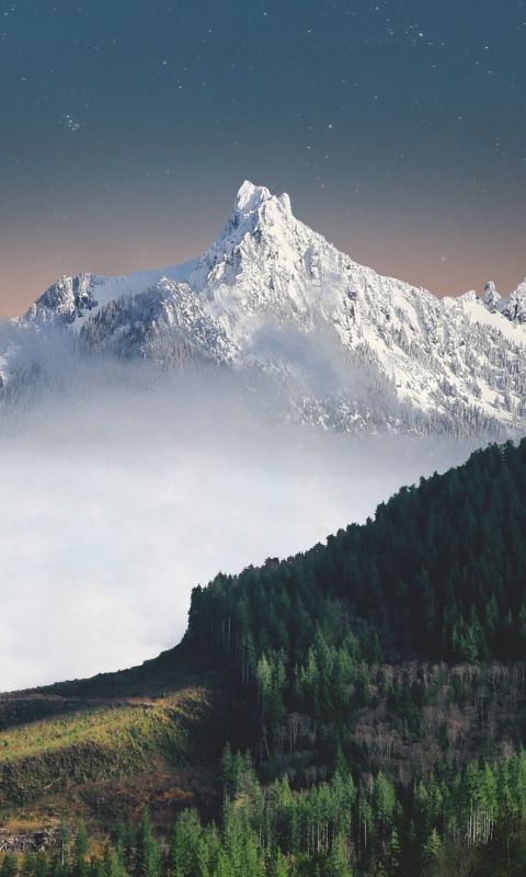 aerial photography of trees distance with white mo... wallpaper