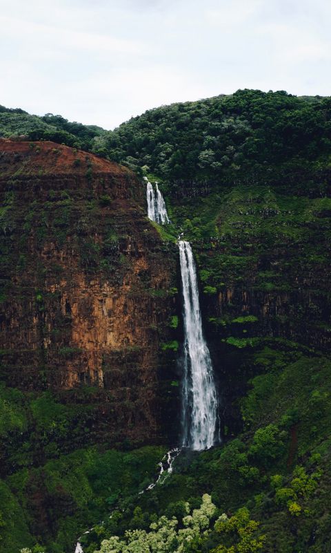 waterfalls at the forest during day wallpaper