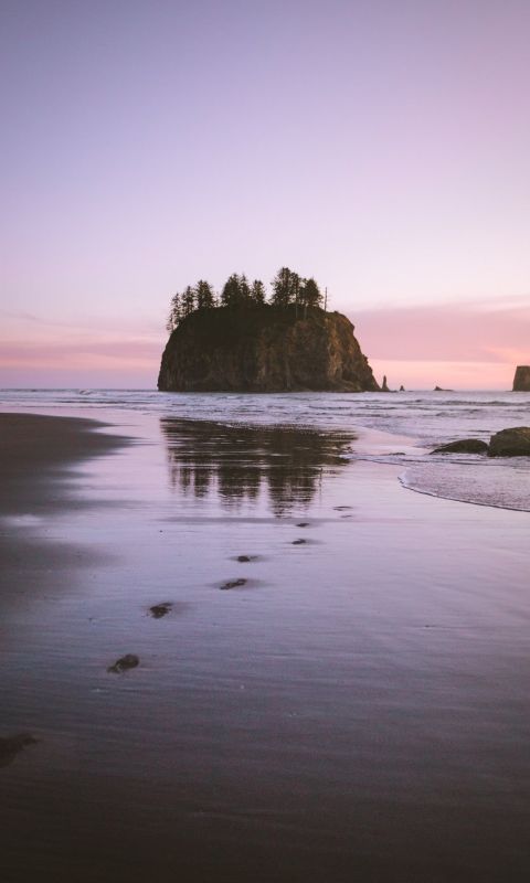 footprints at shore during golden hour wallpaper