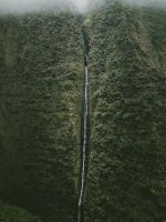 waterfall at mountain covered with trees wallpaper