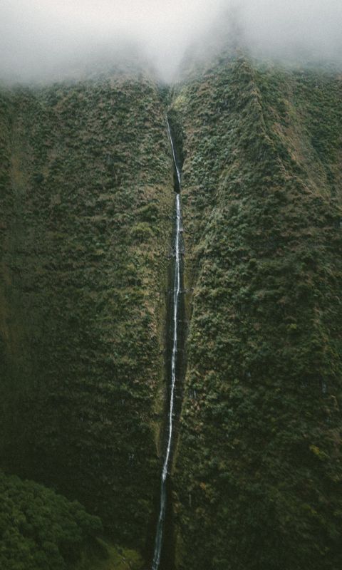 waterfall at mountain covered with trees wallpaper