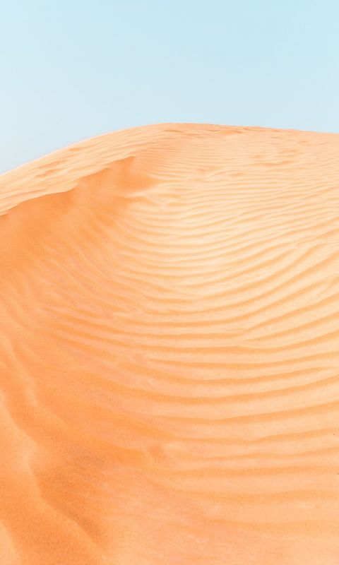 dessert at daytime wallpaper