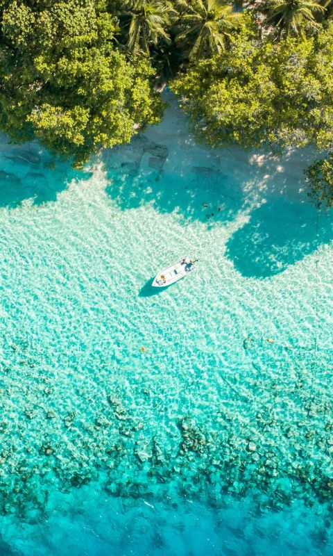 boat near shore wallpaper