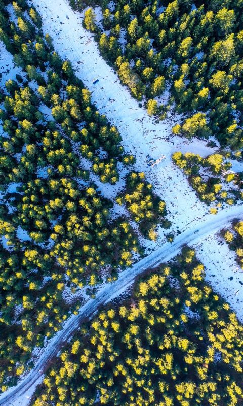 aerial photography of green trees surrounding road... wallpaper