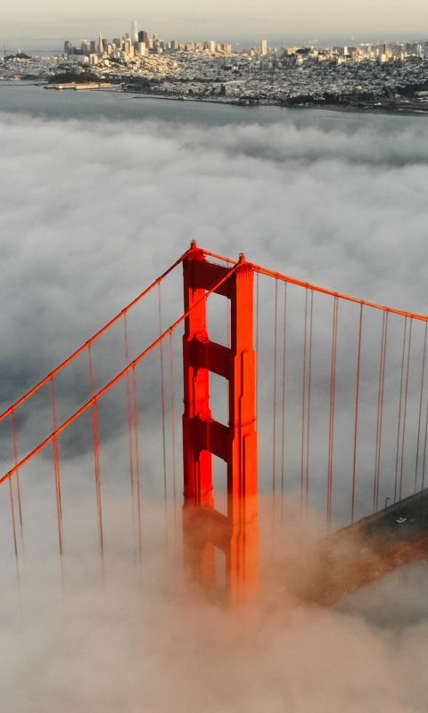 aerial photography of foggy red bridge wallpaper