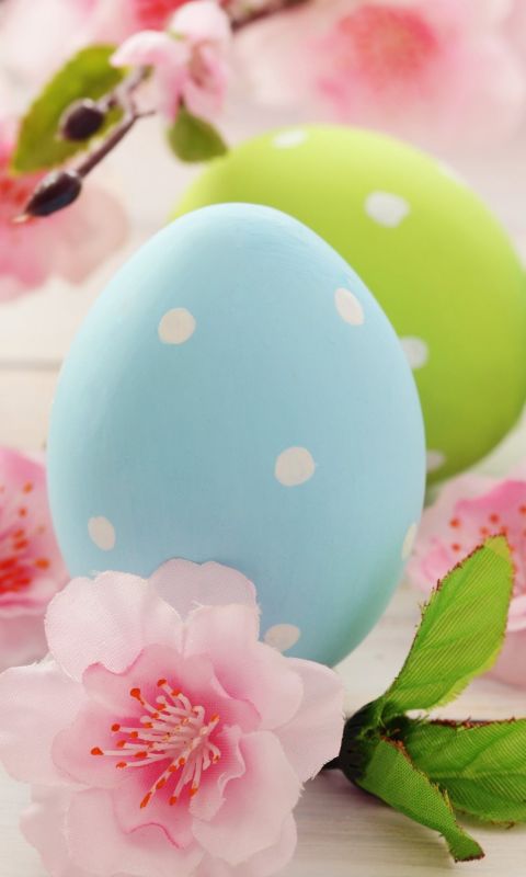 Easter eggs Flowers 5K Celebrations 5569 wallpaper