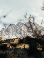 The view trough wallpaper