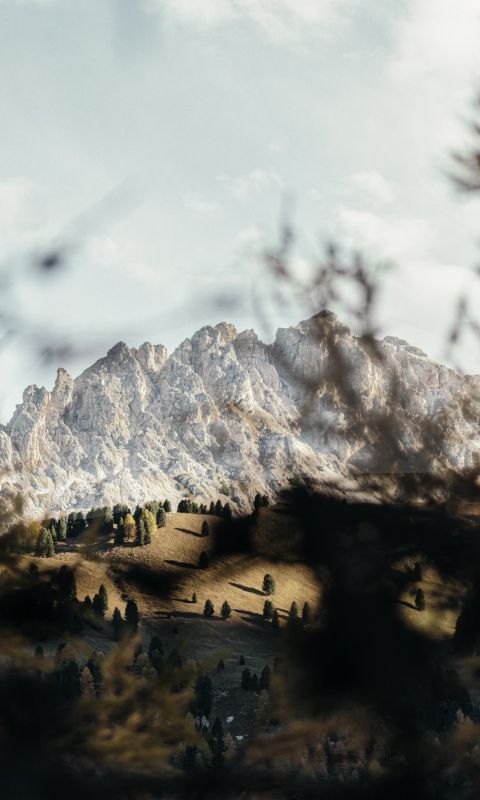 The view trough wallpaper