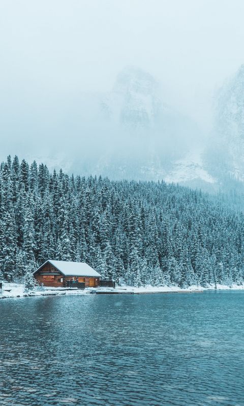 brown wooden house between trees and body of water... wallpaper