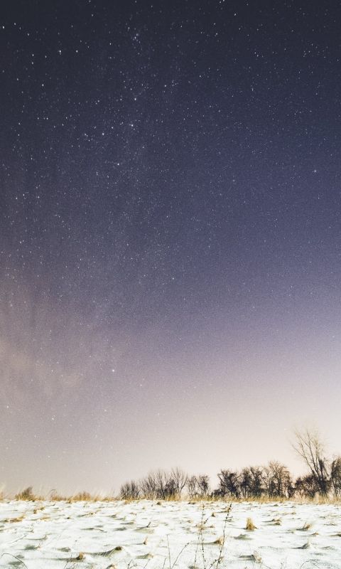 snow covered ground under sky full of stars wallpaper