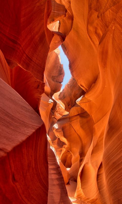 Arizona Grand Canyon during daytime wallpaper