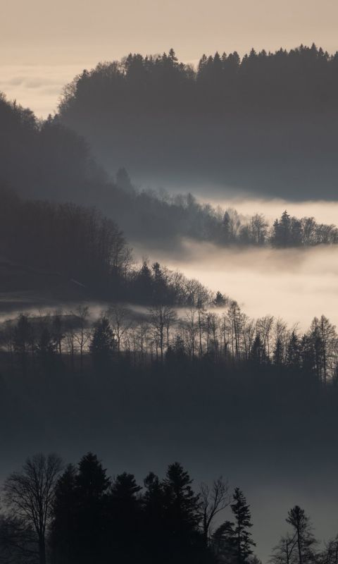 green trees on mountain during daytime wallpaper