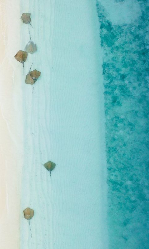 body of water wallpaper