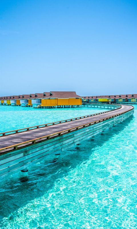 brown wooden dock on blue sea under blue sky durin... wallpaper