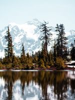 calm body of water wallpaper