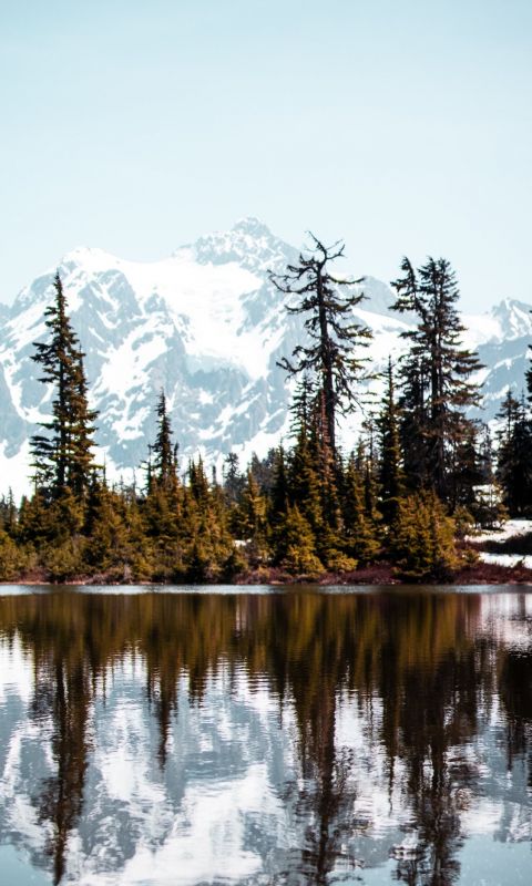 calm body of water wallpaper