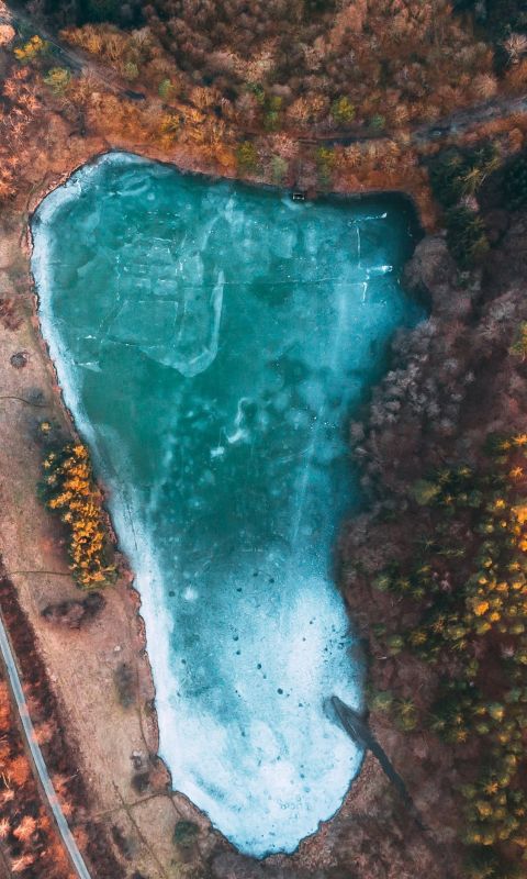 aerial view of lake surrounded by trees during day... wallpaper