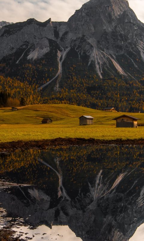 cabins in field wallpaper