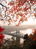 landscape photography of gray concrete bridge wallpaper