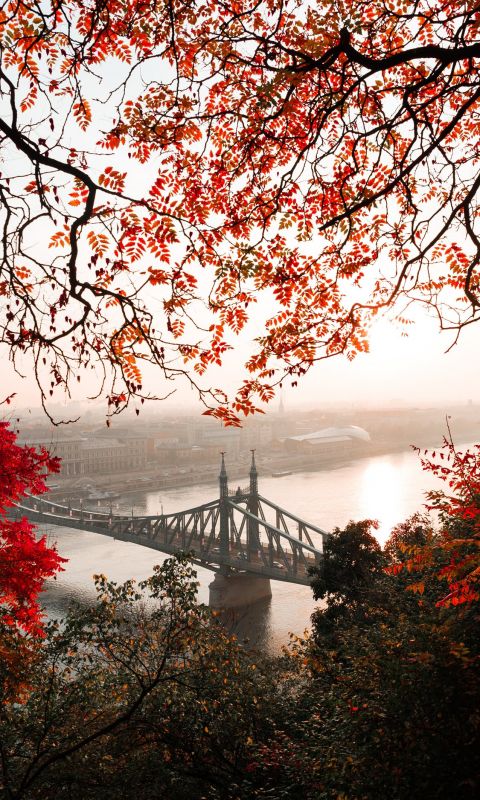 landscape photography of gray concrete bridge wallpaper