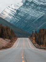 gray concrete road between trees near mountain wallpaper