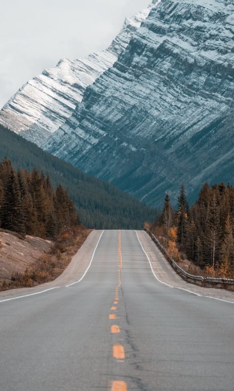 gray concrete road between trees near mountain wallpaper