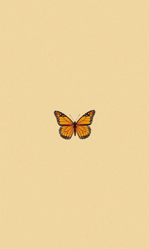 ig kaylaknguyen aestheticiphone wallpaper